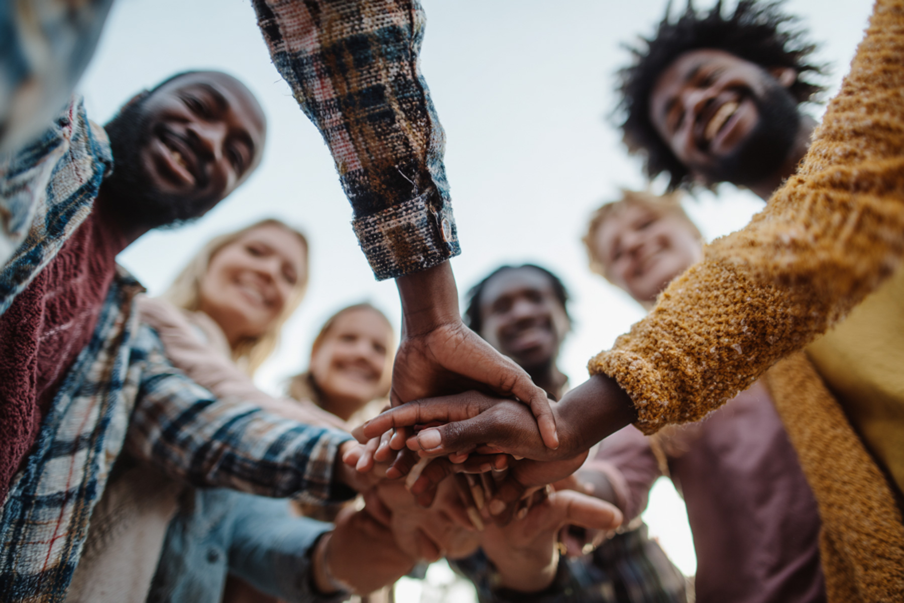 Curabitur vel lectut